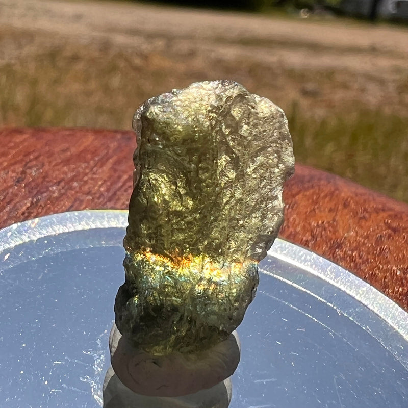 Moldavite 2.2 grams #1870-Moldavite Life