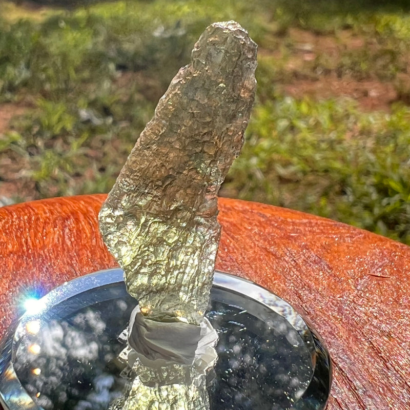 Moldavite 2.2 grams #1954-Moldavite Life