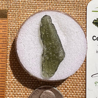 Moldavite 2.2 grams #1954-Moldavite Life