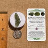 Moldavite 2.2 grams #1954-Moldavite Life