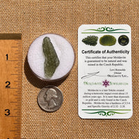 Moldavite 2.2 grams #1954-Moldavite Life