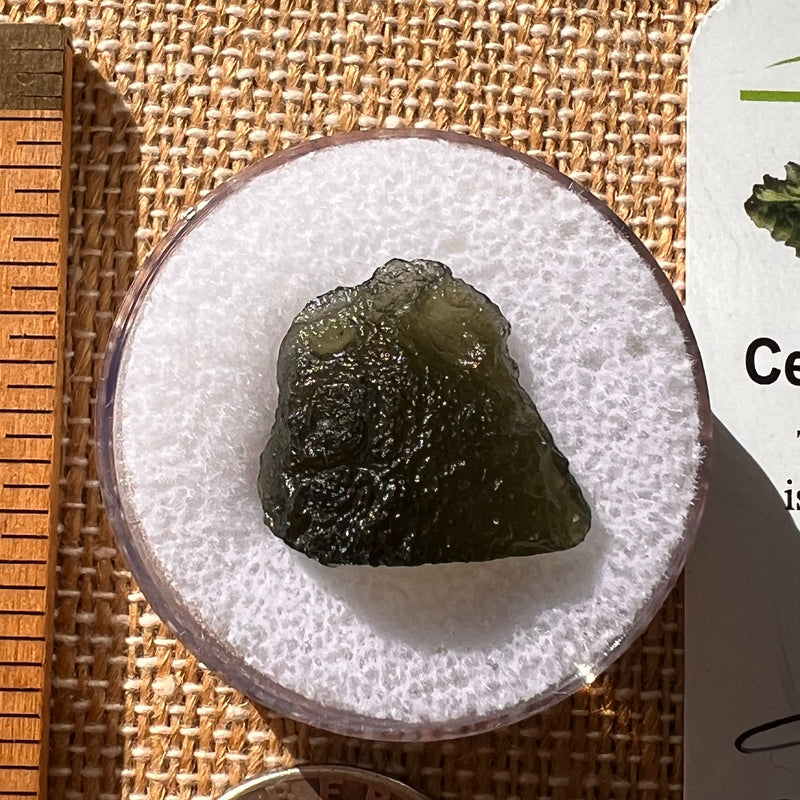 Moldavite 2.2 grams #2123-Moldavite Life