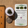 Moldavite 2.2 grams #2123-Moldavite Life