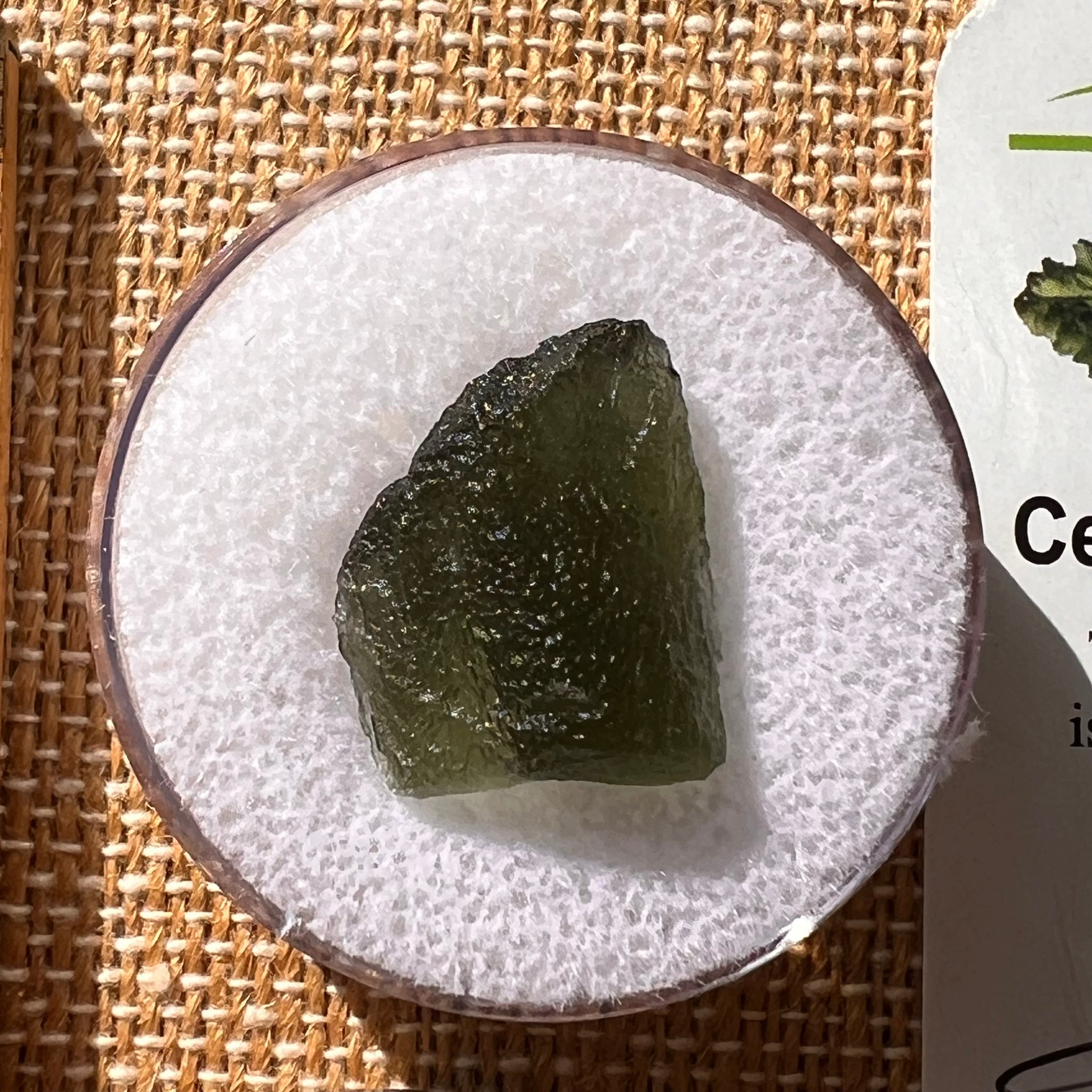 Moldavite 2.2 grams #2126-Moldavite Life