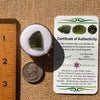 Moldavite 2.2 grams #2126-Moldavite Life