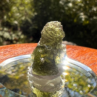 Moldavite 2.2 grams #2137-Moldavite Life