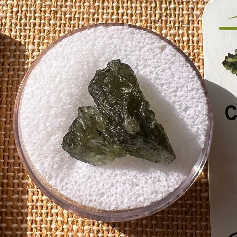 Moldavite 2.2 grams #2137-Moldavite Life