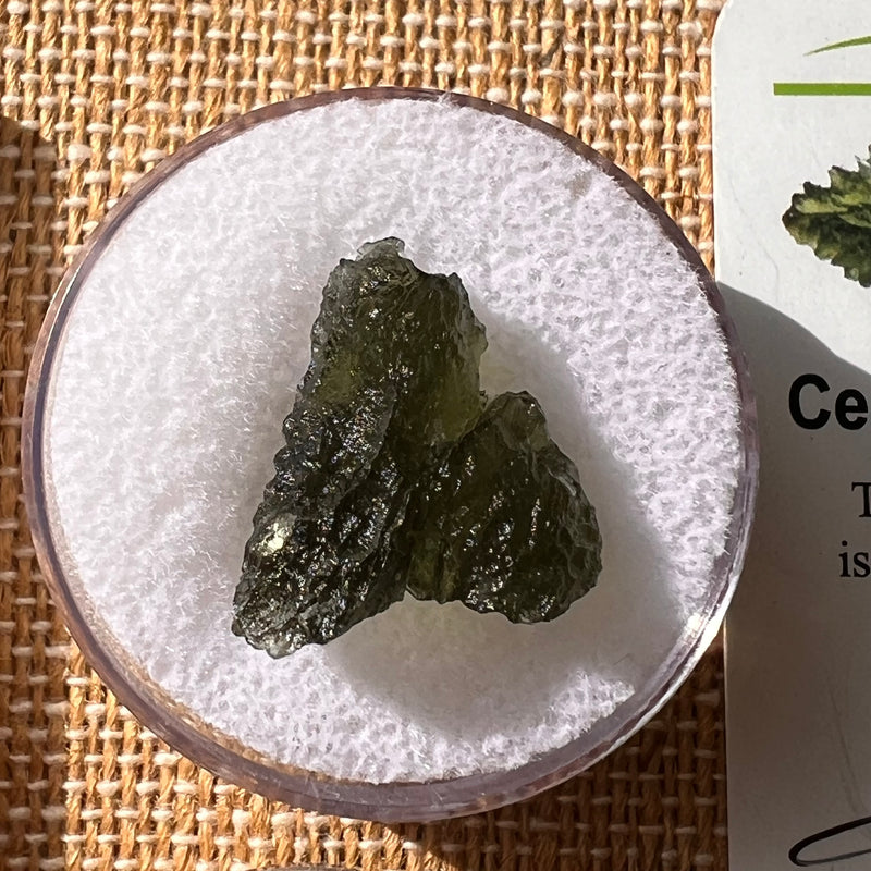Moldavite 2.2 grams #2137-Moldavite Life