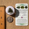 Moldavite 2.2 grams #2137-Moldavite Life