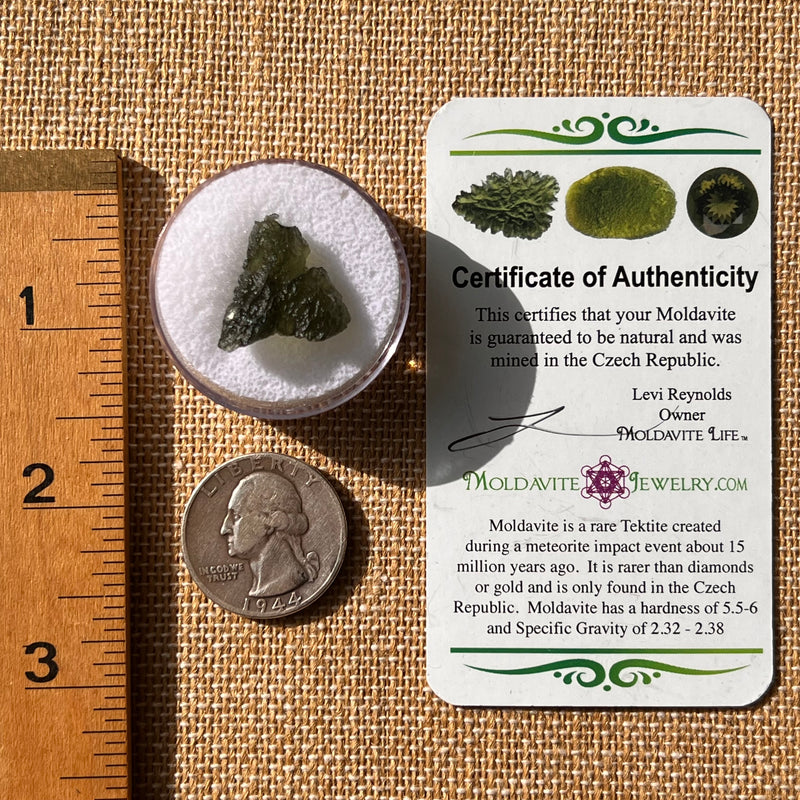 Moldavite 2.2 grams #2137-Moldavite Life