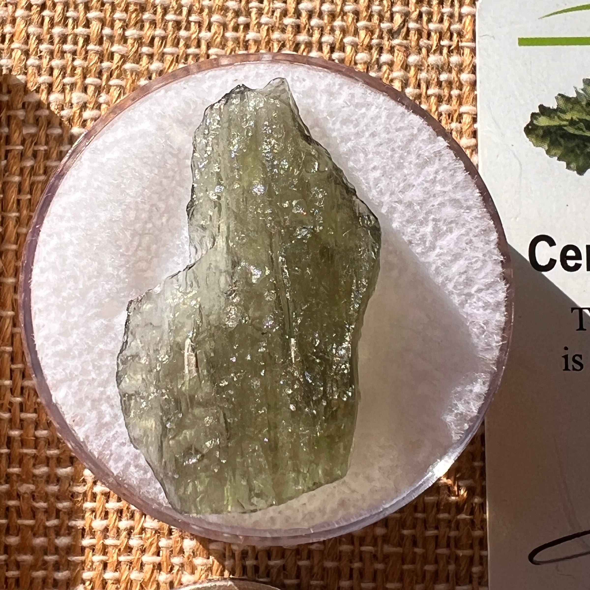 Moldavite 2.2 grams #2155-Moldavite Life