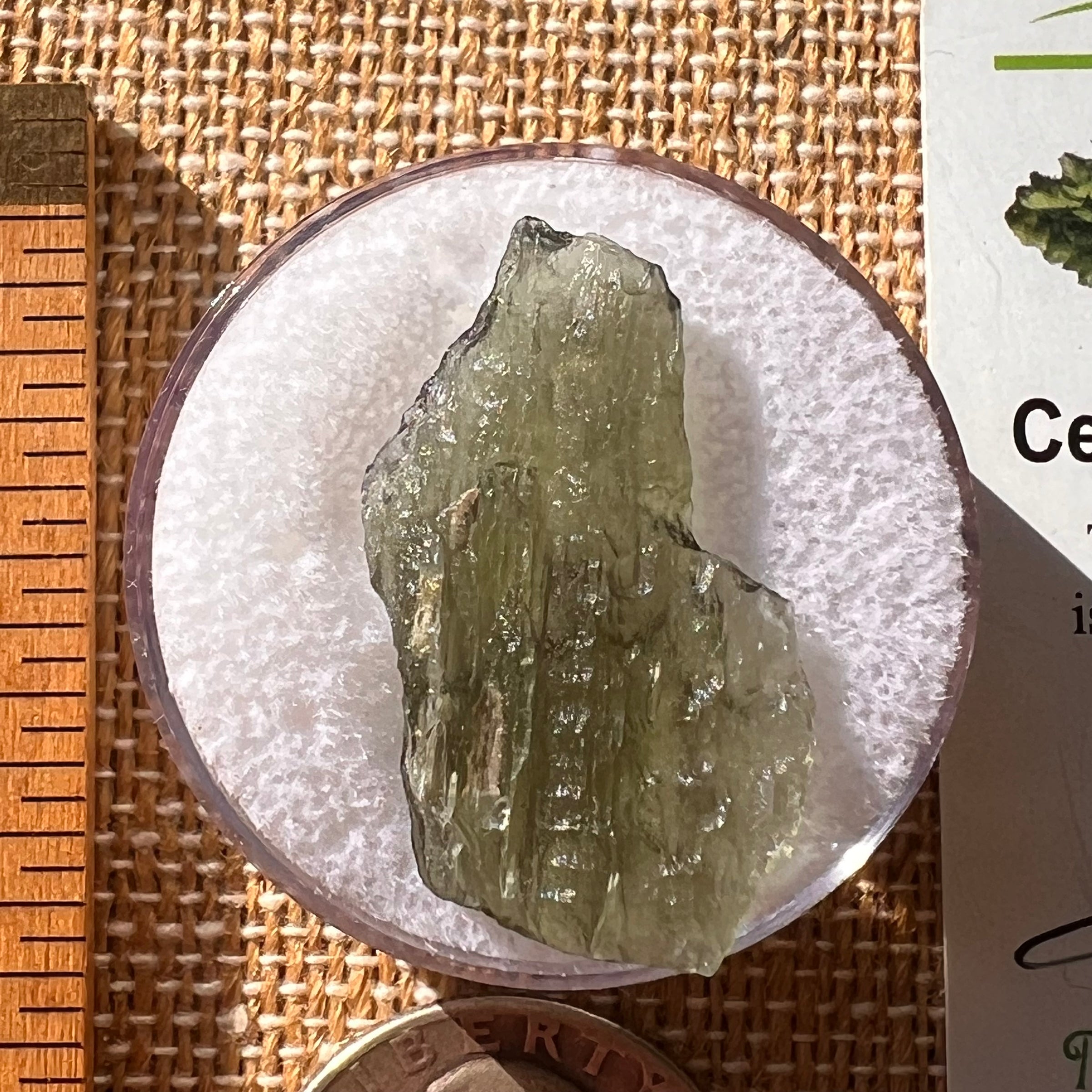 Moldavite 2.2 grams #2155-Moldavite Life
