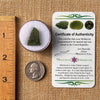 Moldavite 2.2 grams #2173-Moldavite Life