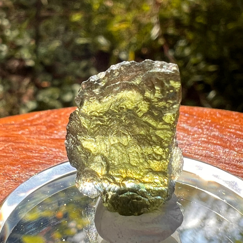 Moldavite 2.2 grams #2177-Moldavite Life