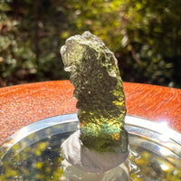 Moldavite 2.2 grams #2177-Moldavite Life