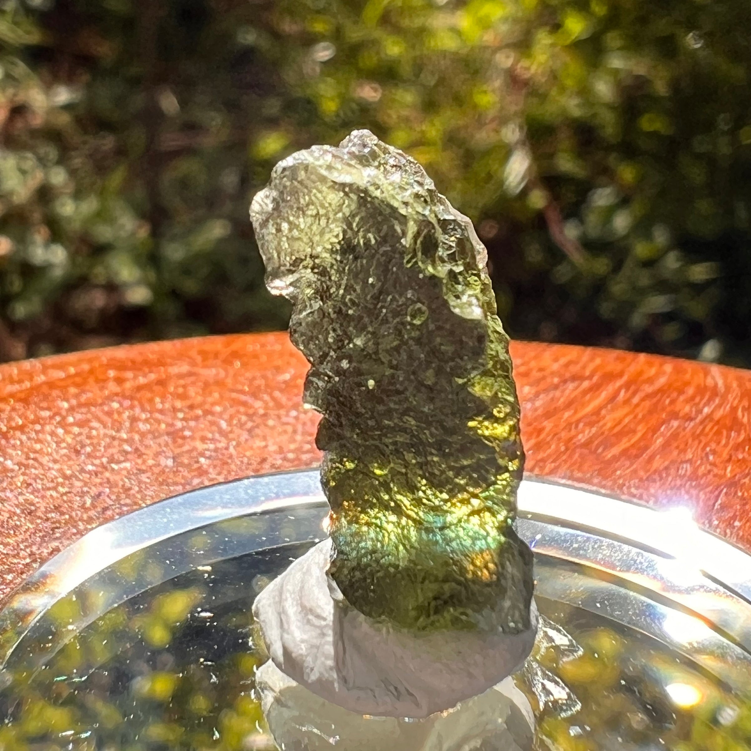 Moldavite 2.2 grams #2177-Moldavite Life