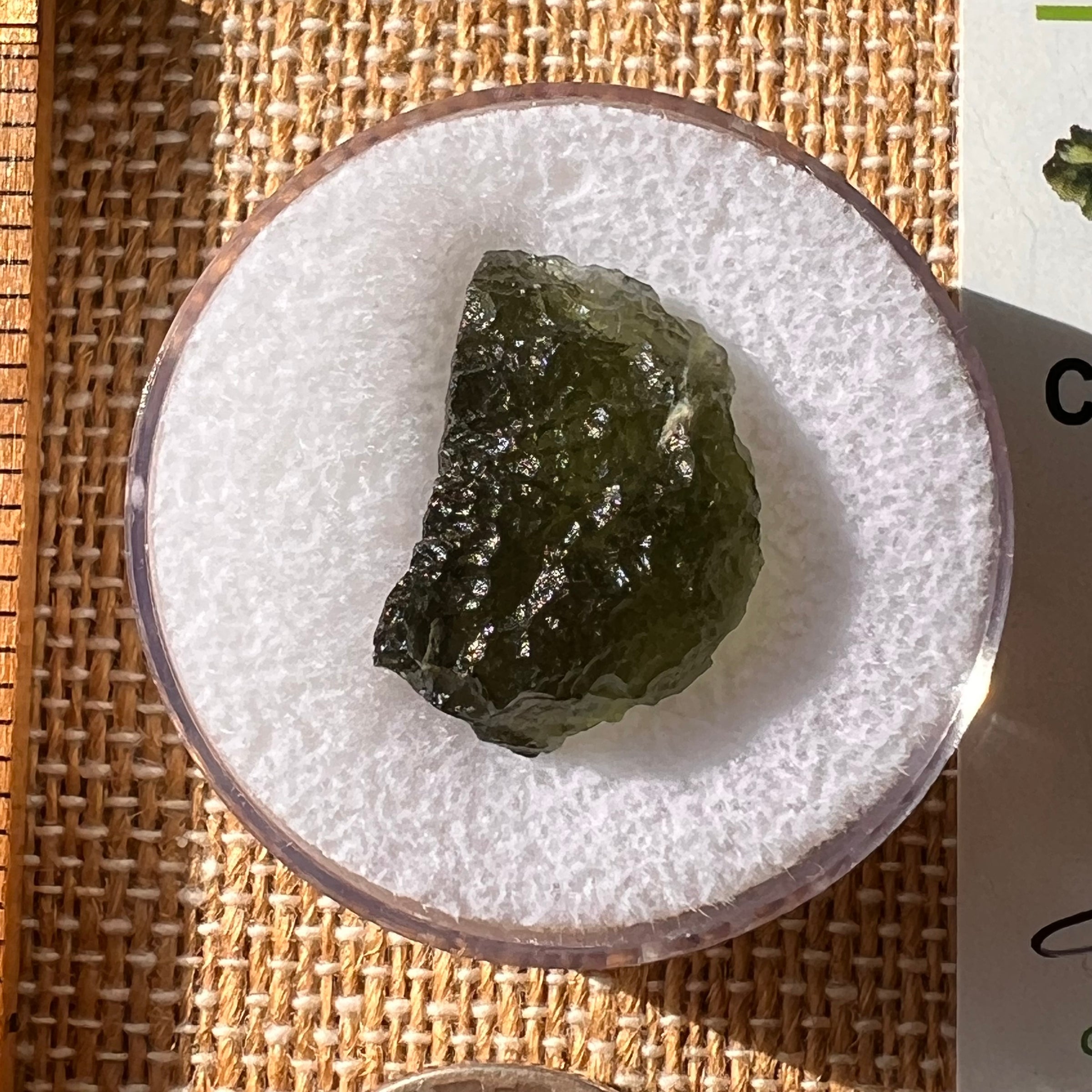 Moldavite 2.2 grams #2177-Moldavite Life