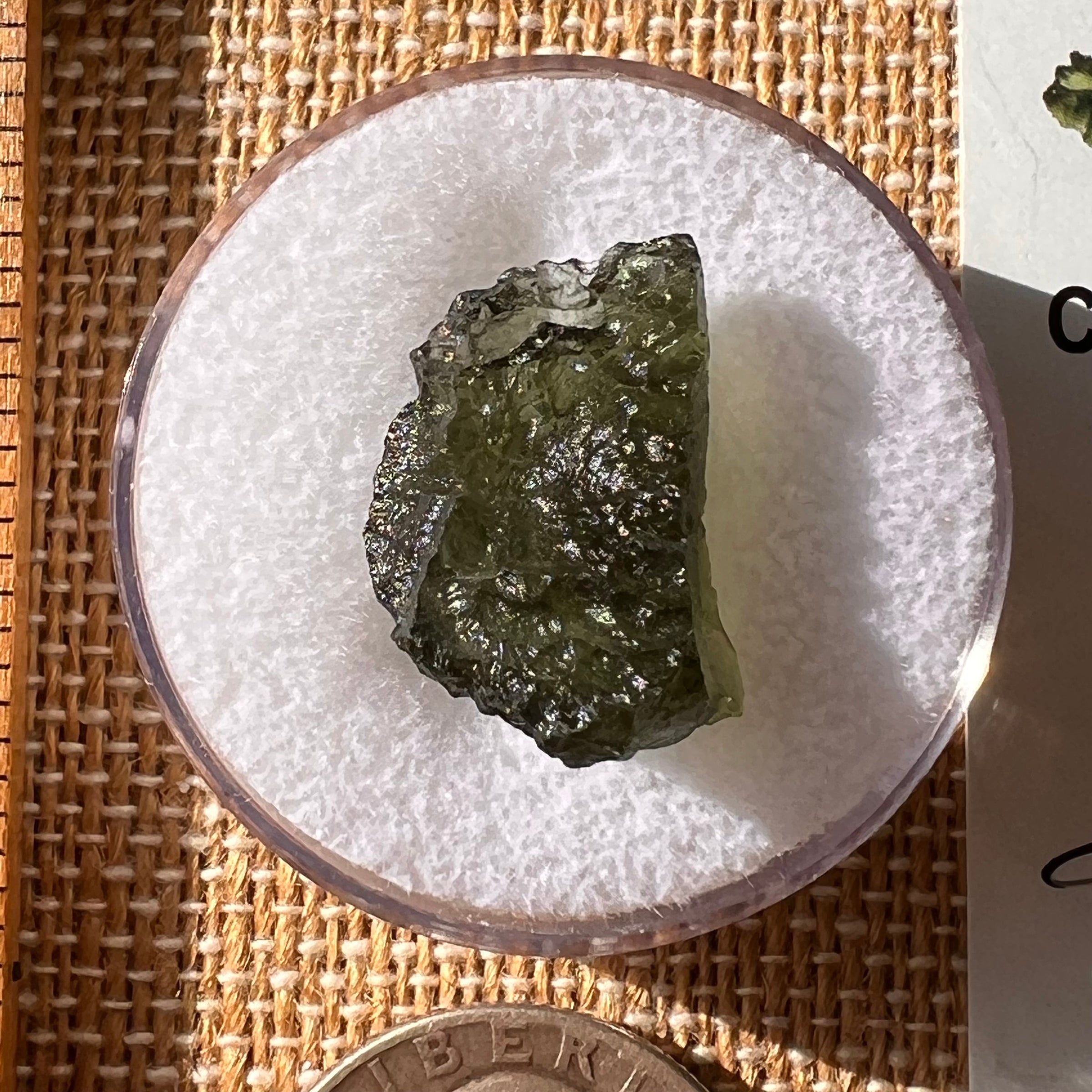 Moldavite 2.2 grams #2177-Moldavite Life