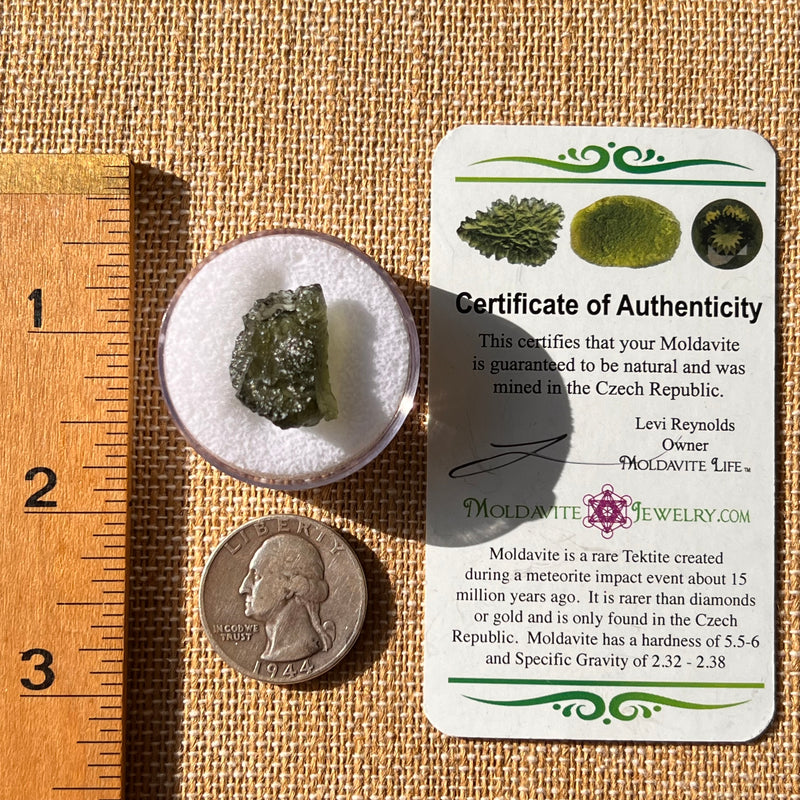 Moldavite 2.2 grams #2177-Moldavite Life