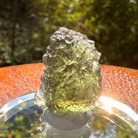 Moldavite 2.2 grams #2177-Moldavite Life