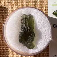 Moldavite 2.2 grams #2190-Moldavite Life