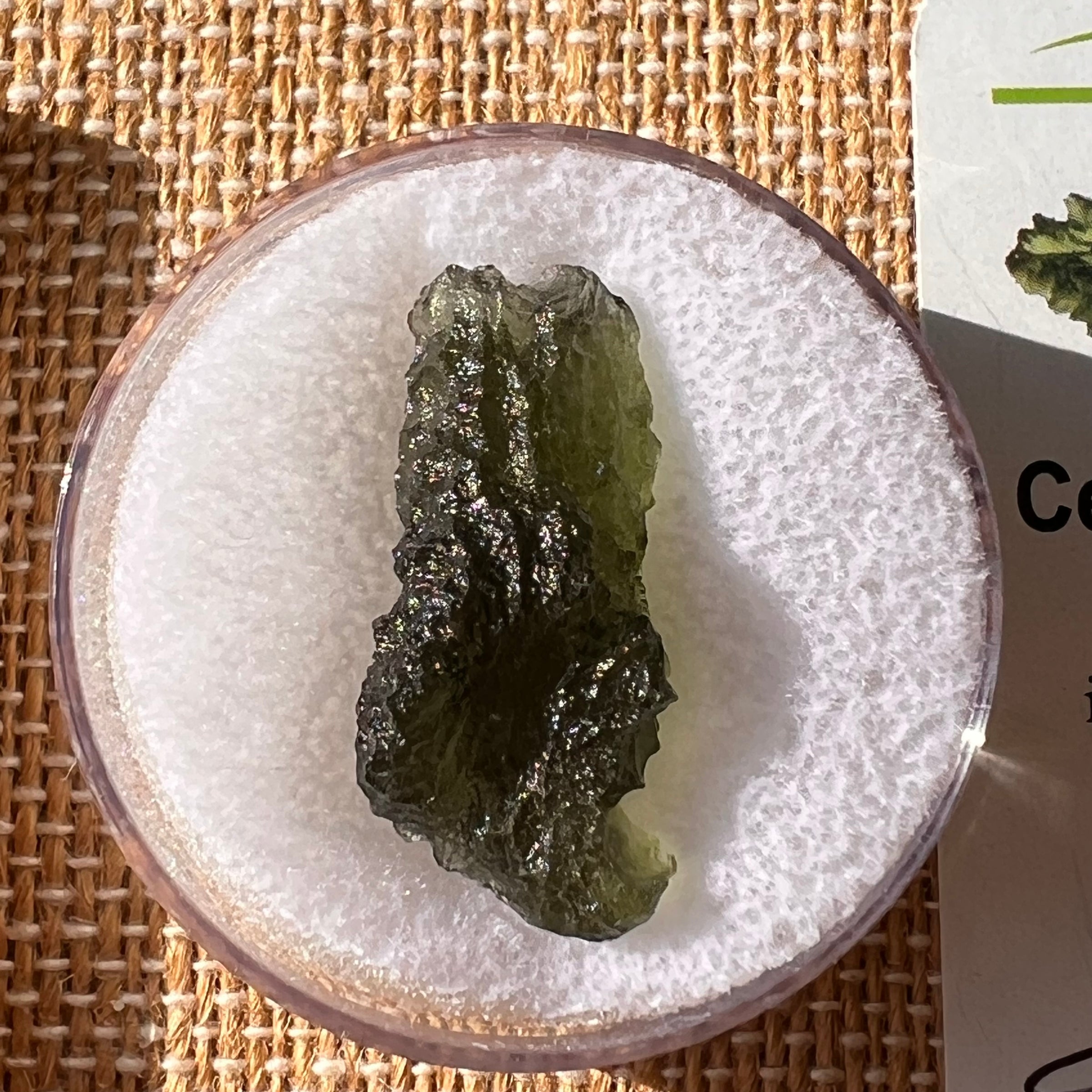 Moldavite 2.2 grams #2190-Moldavite Life