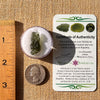Moldavite 2.2 grams #2190-Moldavite Life