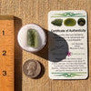 Moldavite 2.2 grams #2204-Moldavite Life