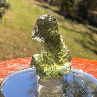 Moldavite 2.2 grams #2366-Moldavite Life