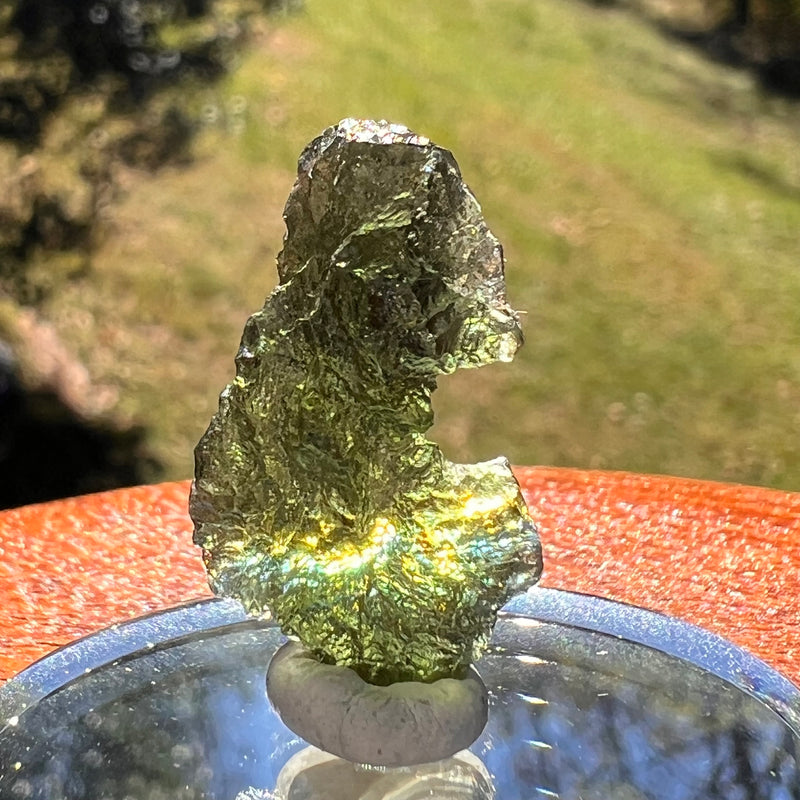 Moldavite 2.2 grams #2366-Moldavite Life