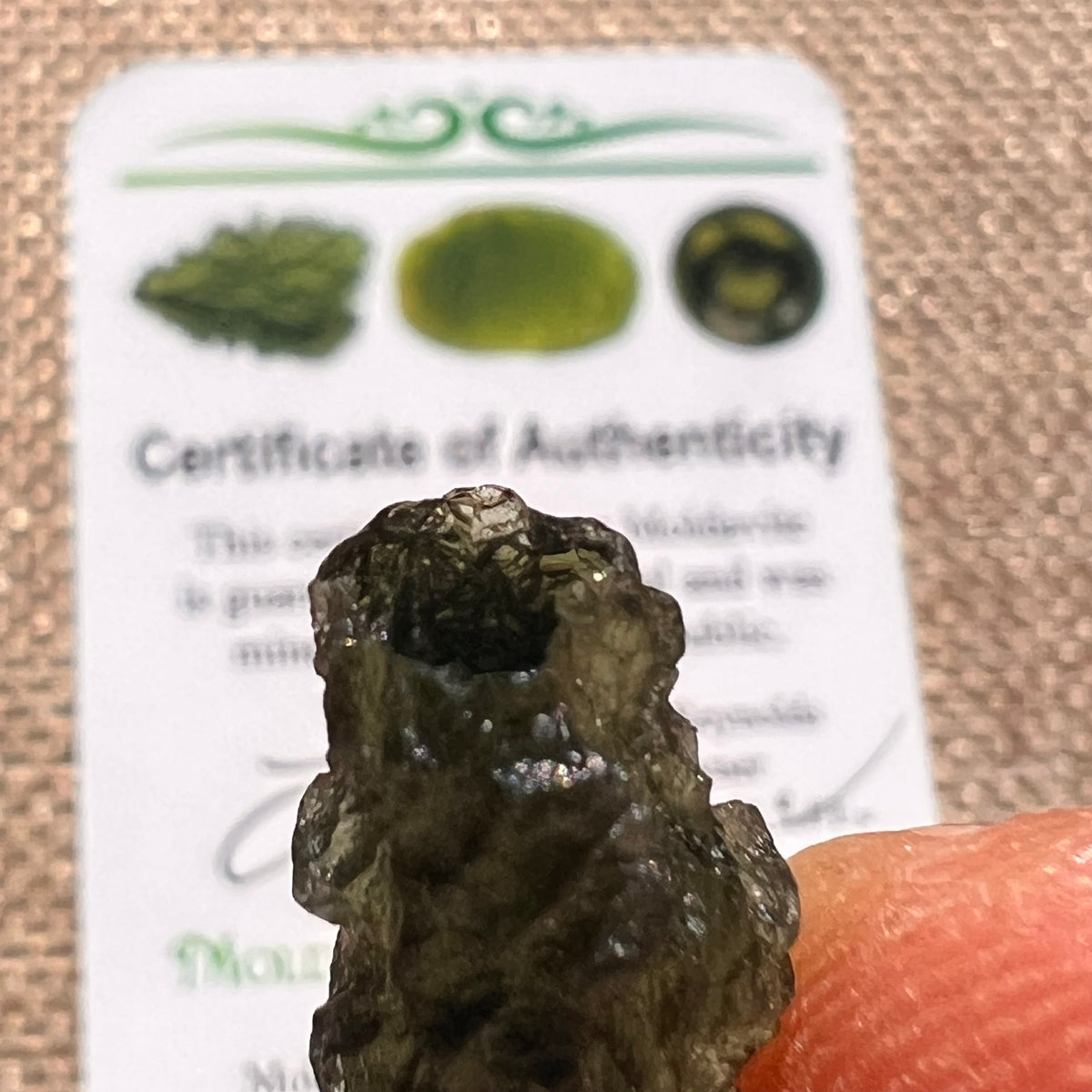 Moldavite 2.2 grams #2386-Moldavite Life