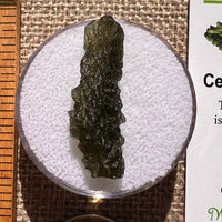 Moldavite 2.2 grams #2386-Moldavite Life