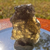 Moldavite 2.3 grams #1735-Moldavite Life