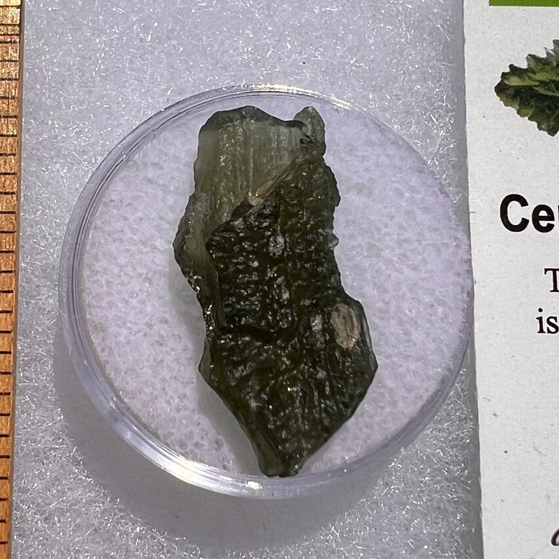 Moldavite 2.3 grams #1869-Moldavite Life