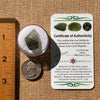 Moldavite 2.3 grams #2120-Moldavite Life