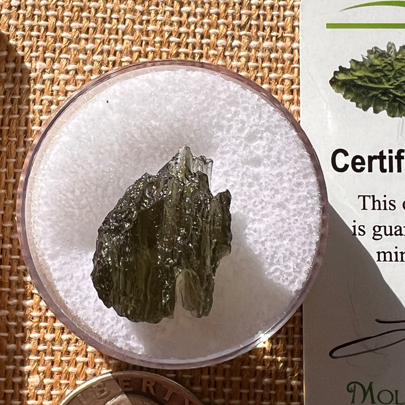 Moldavite 2.3 grams #2130-Moldavite Life