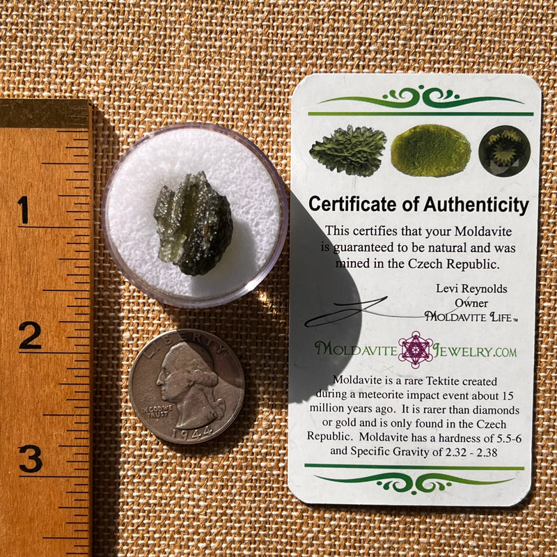 Moldavite 2.3 grams #2130-Moldavite Life