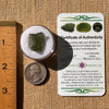 Moldavite 2.3 grams #2140-Moldavite Life