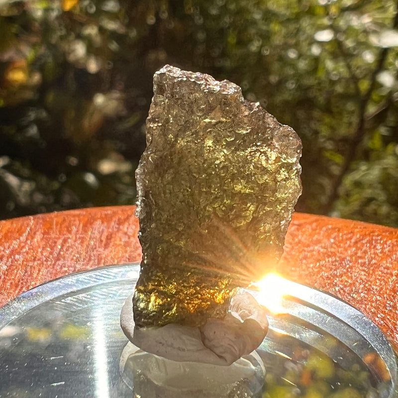 Moldavite 2.3 grams #2154-Moldavite Life