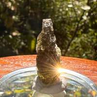 Moldavite 2.3 grams #2154-Moldavite Life