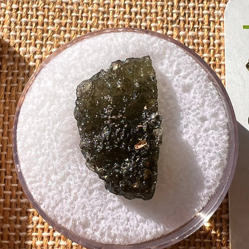 Moldavite 2.3 grams #2154-Moldavite Life