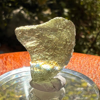 Moldavite 2.3 grams #2156-Moldavite Life
