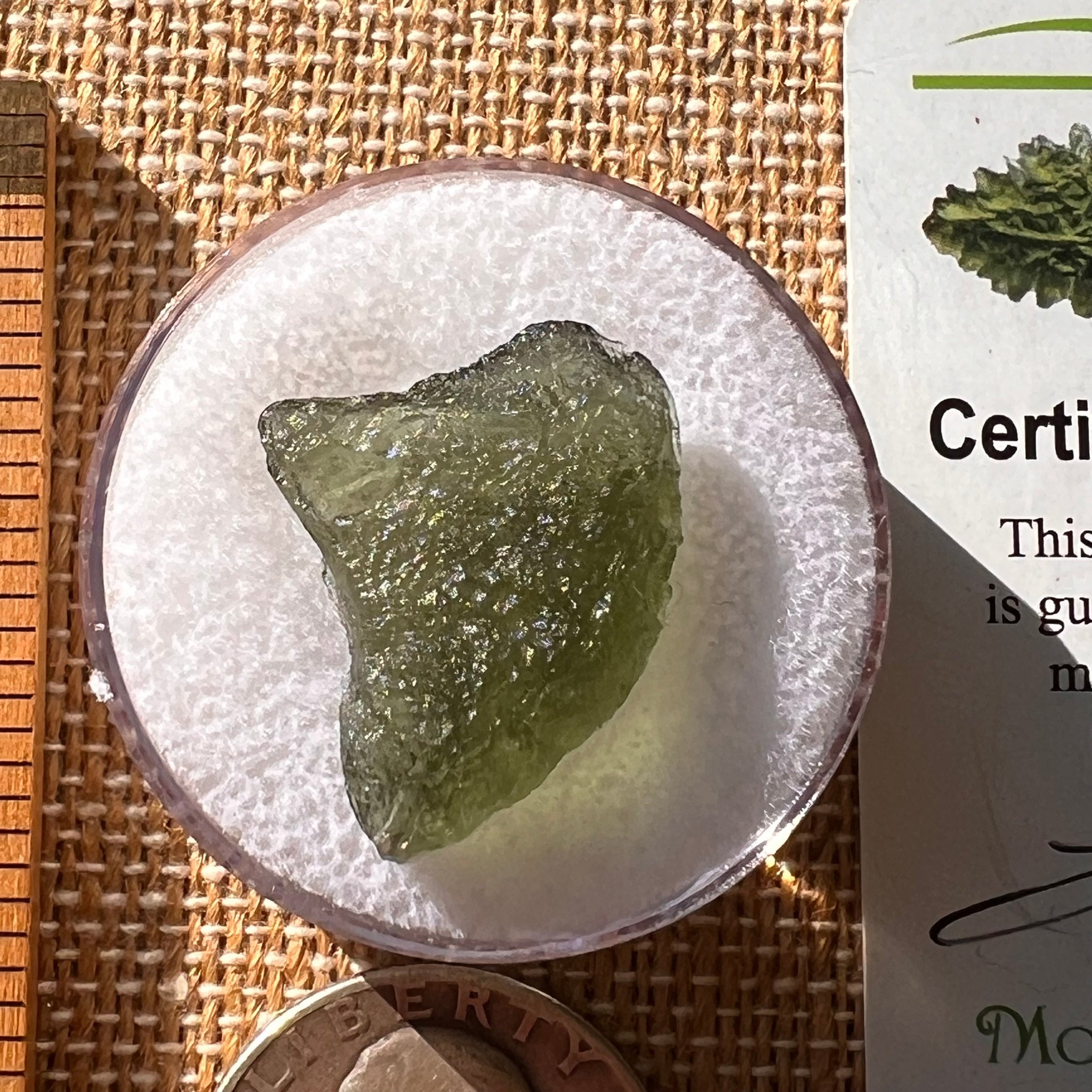 Moldavite 2.3 grams #2156-Moldavite Life