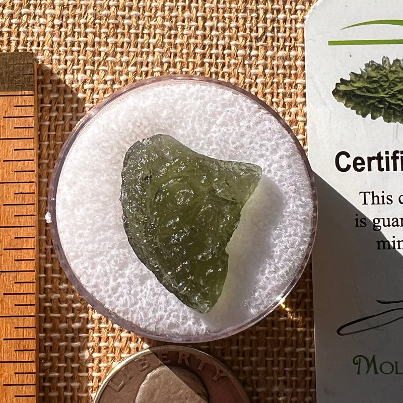 Moldavite 2.3 grams #2156-Moldavite Life