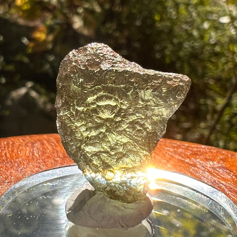 Moldavite 2.3 grams #2156-Moldavite Life