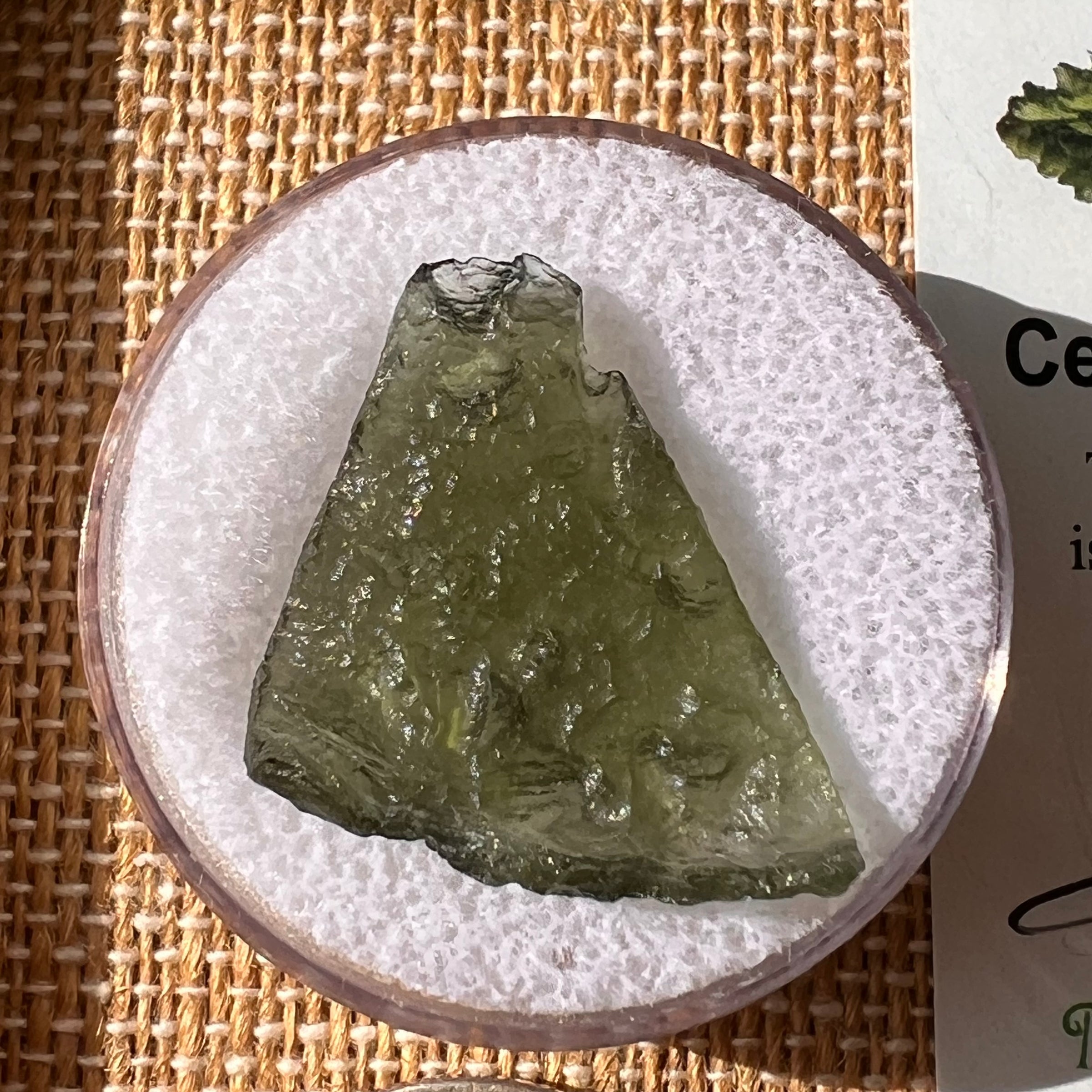 Moldavite 2.3 grams #2162-Moldavite Life