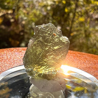 Moldavite 2.3 grams #2163-Moldavite Life