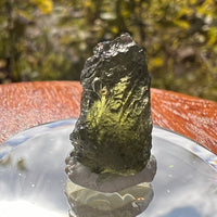 Moldavite 2.3 grams #2163-Moldavite Life