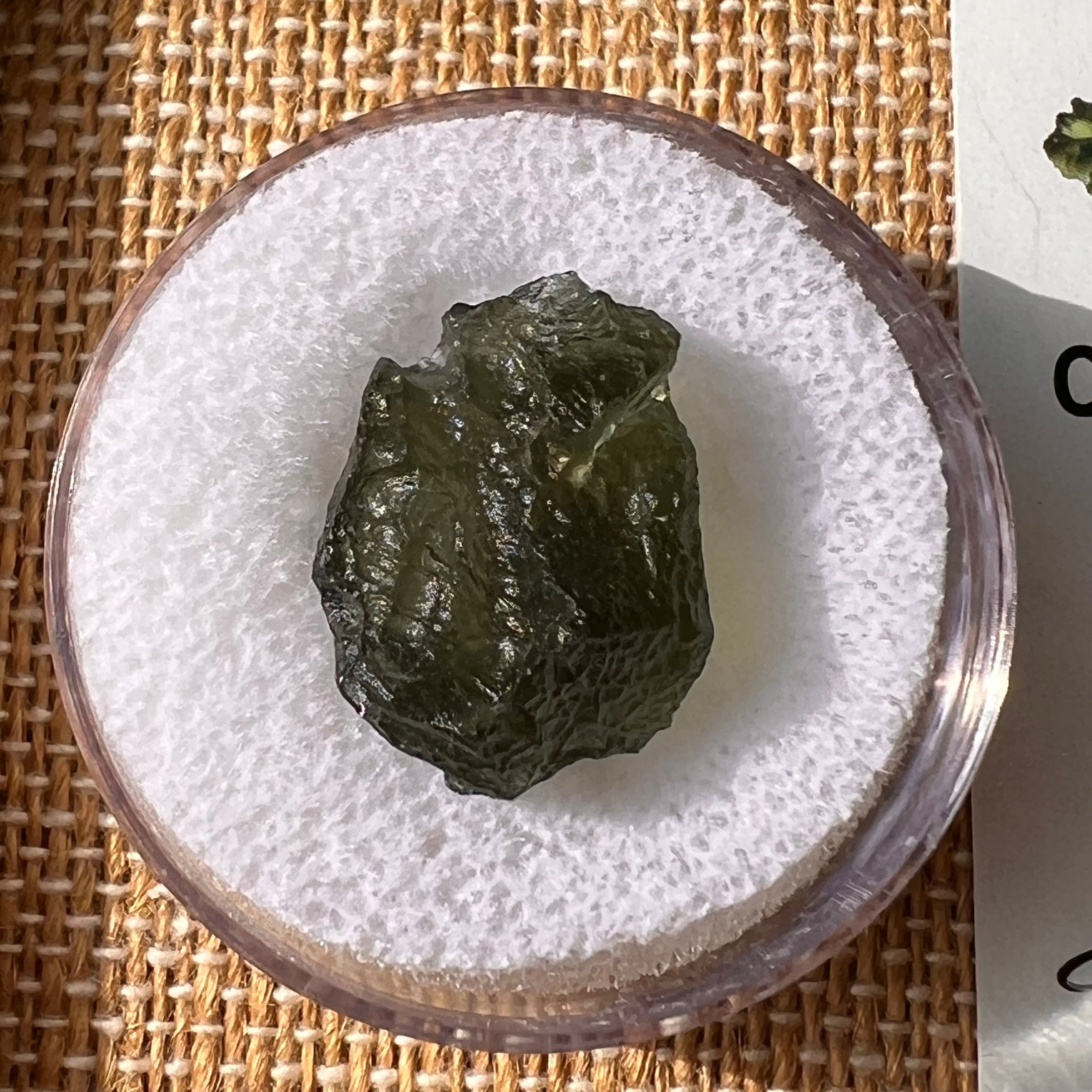 Moldavite 2.3 grams #2163-Moldavite Life