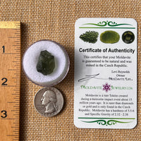 Moldavite 2.3 grams #2163-Moldavite Life